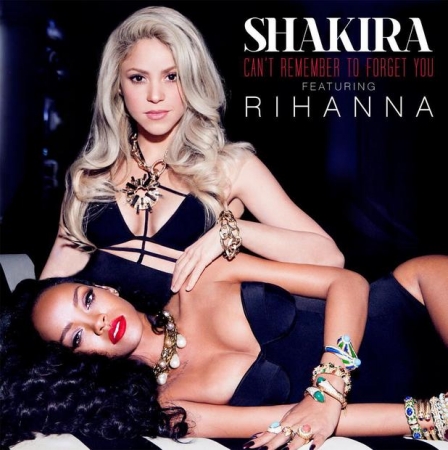 .Shakira Rihanna - Cant Remember To Forget You