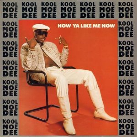 LP Kool Moe Dee - How Ya Like Me Now