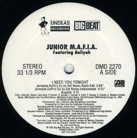 LP Junior MAFIA Featuring Aaliyah - I Need You Tonight