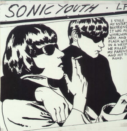LP Sonic Youth - Goo BOX COM 4 VINYL + BOOK (IMPORTADO LACRADO)