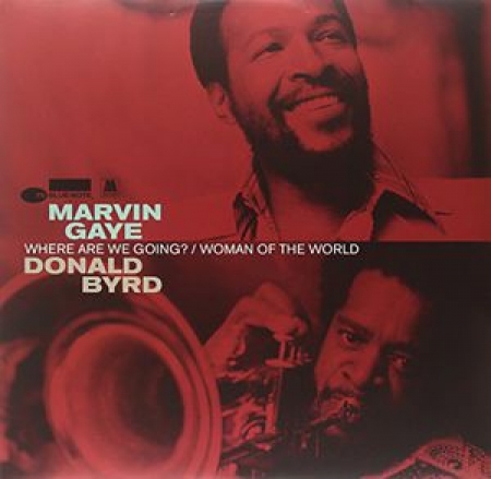 LP Marvin Gaye & Donald Byrd -  Are We Going IMPORTADO LACRADO