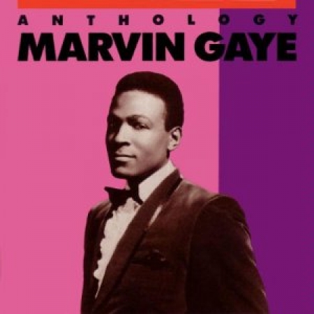 Marvin Gaye - Anthology CD DUPLO (CD) USADO