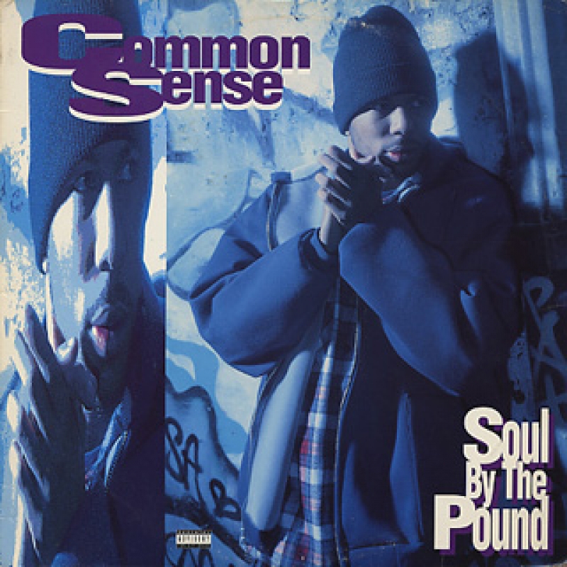 LP Common Sense - Soul By The Pound (VINYL SINGLE USADO EM OTIMO ESTADO)