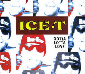 Ice-T - Gotta Lotta Love (CD SINGLE IMPORTADO)