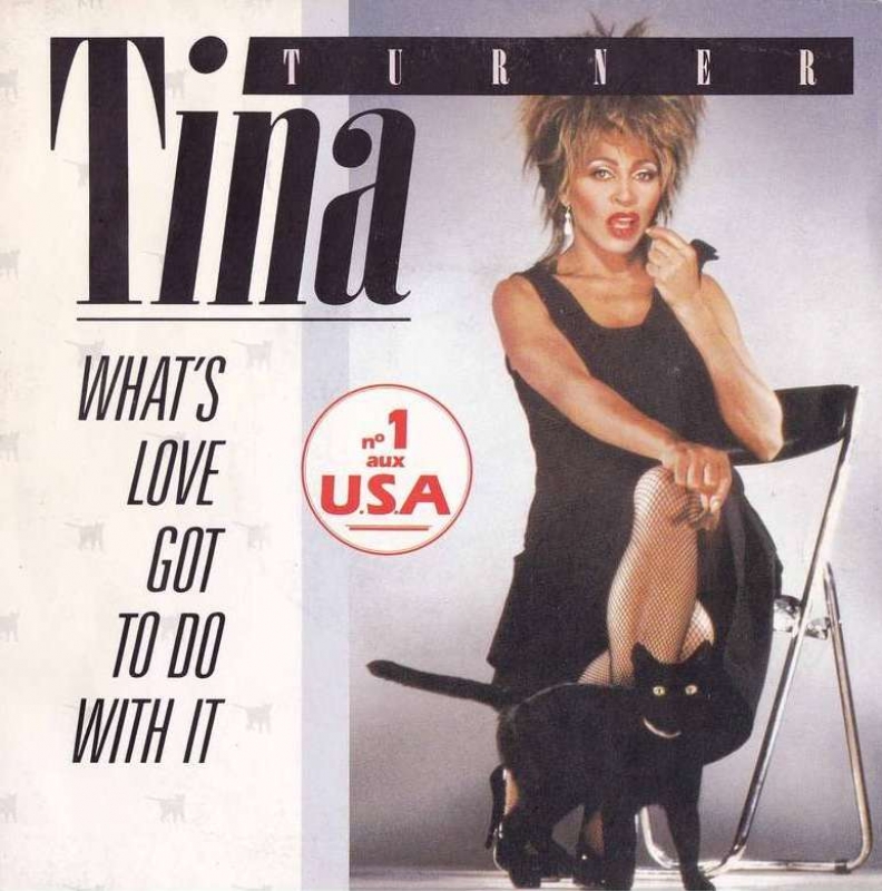 LP TINA TURNER - WHATS LOVE GOT TO DO WITH IT VINYL 7 POLEGADAS