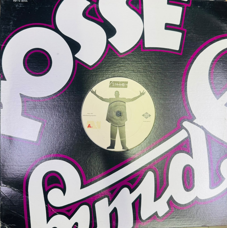 LP Shaquille ONeal - (I Know I Got) Skillz VINYL SINGLE IMPORTADO
