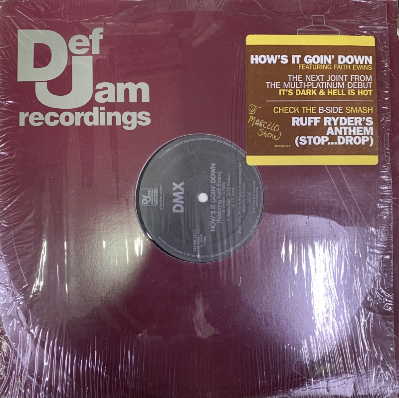 LP DMX - Ruff Ryders Anthem e Hows It Goin Down vinyl Single Importado