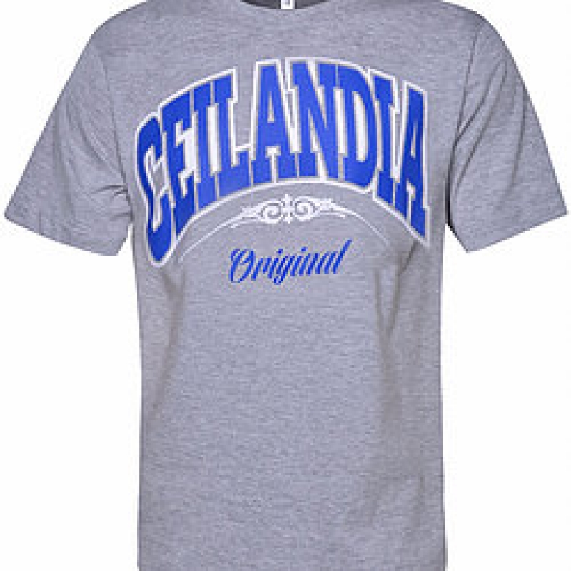 Camiseta Viela 17 - Ceilandia Original - Cinza