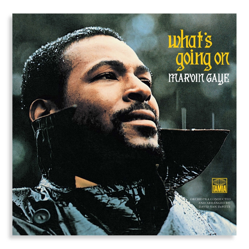 LP Marvin Gaye - Whats Going On VINYL 1O POLEGADAS