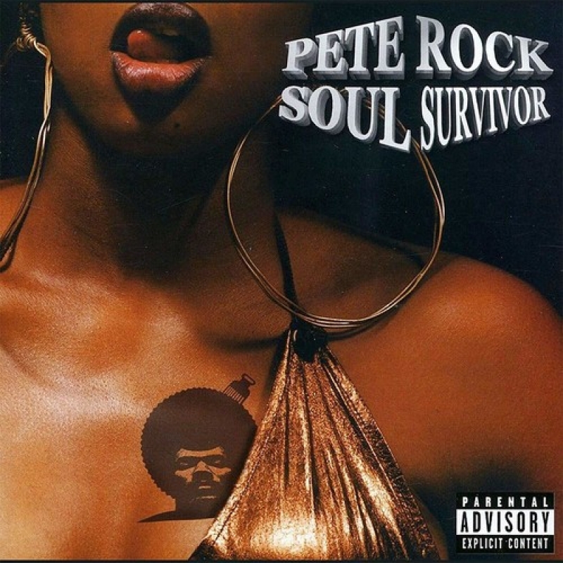LP Pete Rock- Soul Survivor VINYL DUPLO IMPORTADO LACRADO (822720782314)
