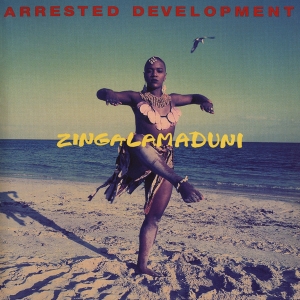 Arrested Development - Zingalamaduni (CD)