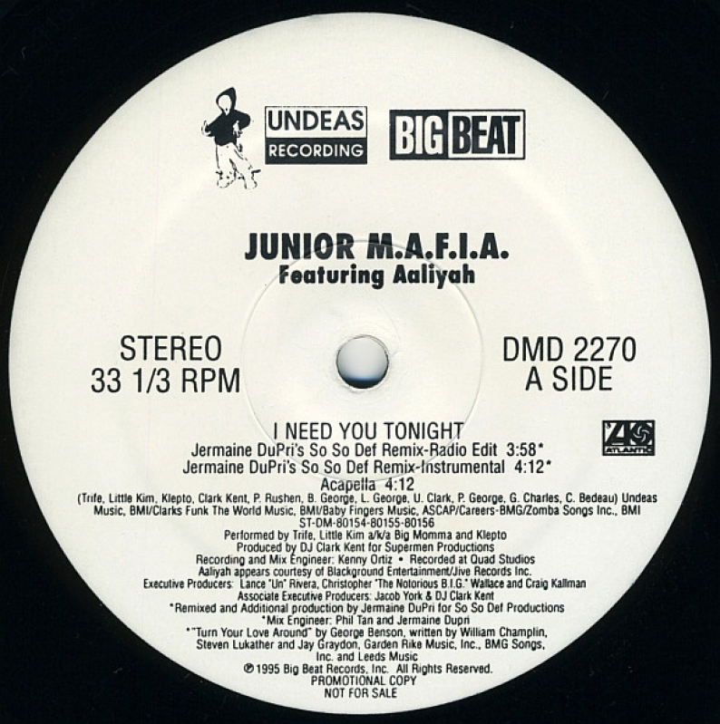 LP Junior M A F I A  Featuring Aaliyah - I Need You Tonight VINYL IMPORTADO