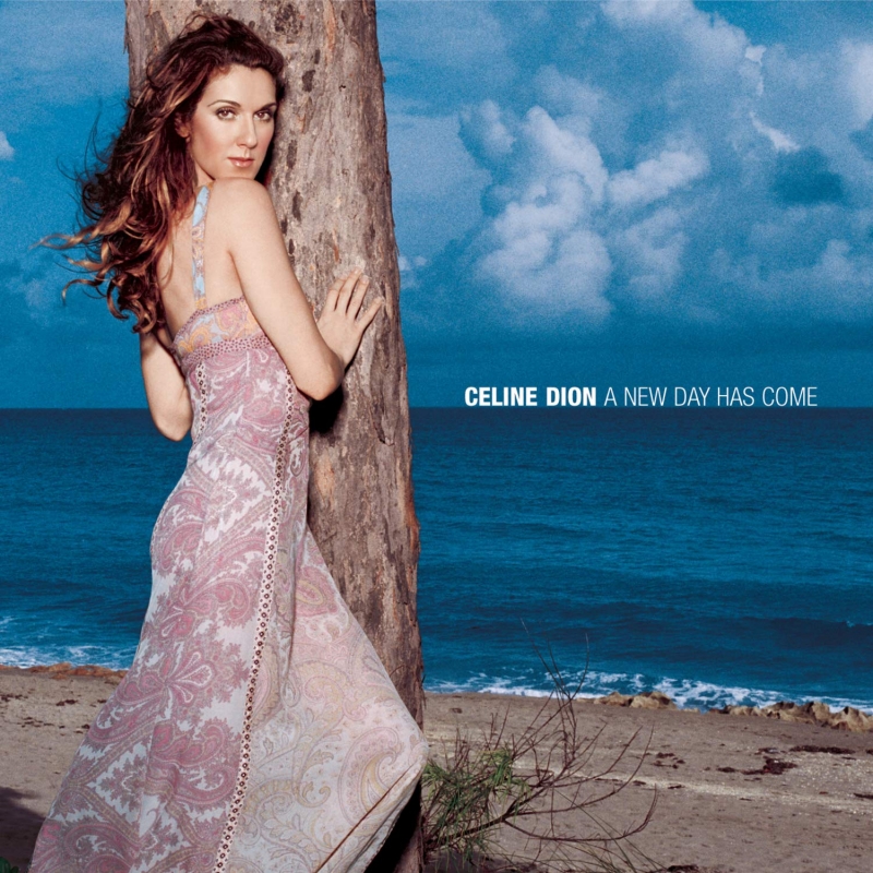 CELINE DION - A NEW DAY HAS COME (CD)