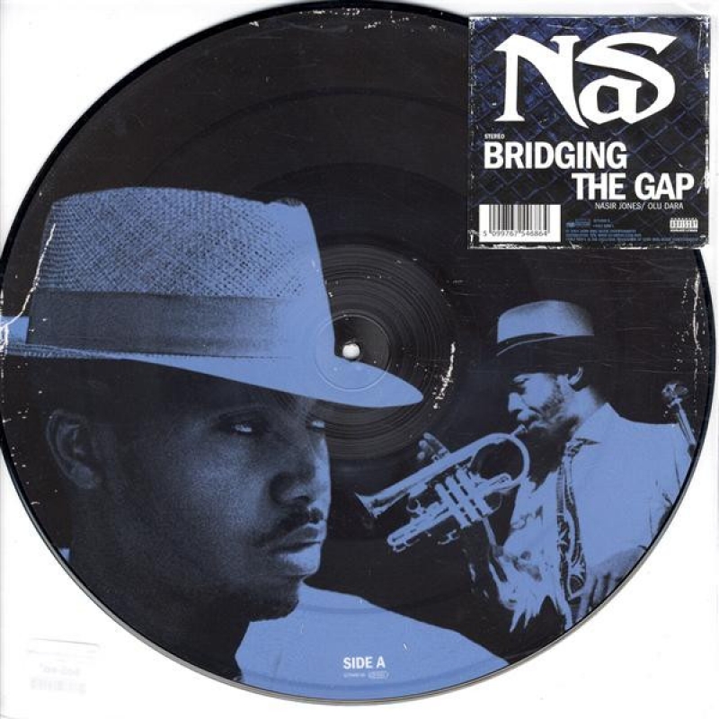 LP Nas - Bridging The Gap (PICTURE)