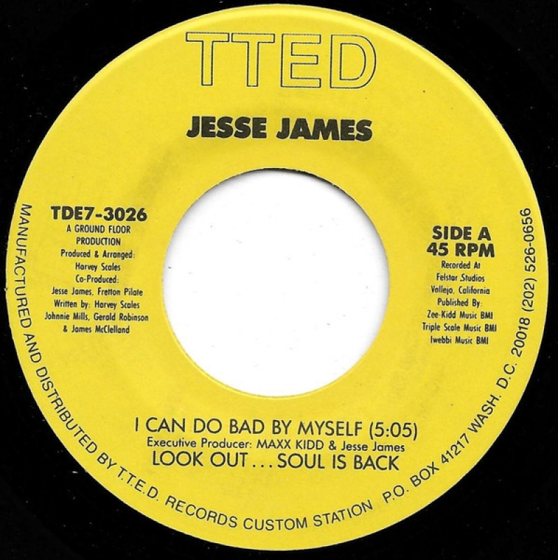 LP Jesse James - I Can Do Bad By Myself VINYL 7 POLEGADA 45RPM