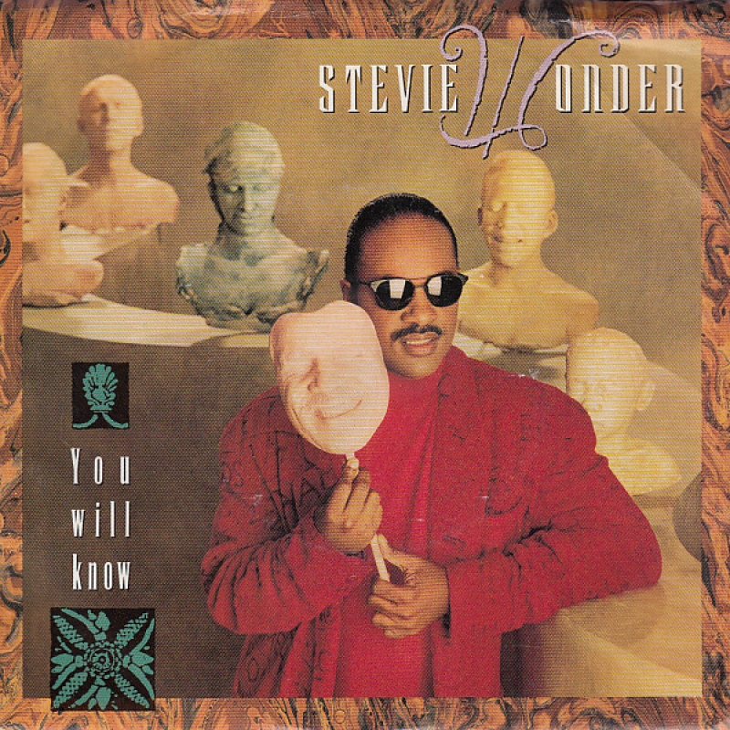 LP Stevie Wonder - You Will Know VINYL 7 POLEGADA