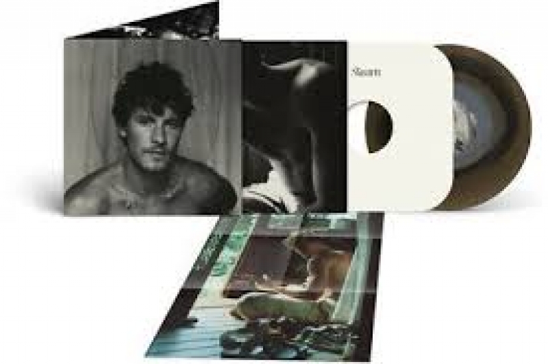 LP Shawn Mendes - Shawn VINYL Black w Brown Swirl Wood Ring IMPORTADO