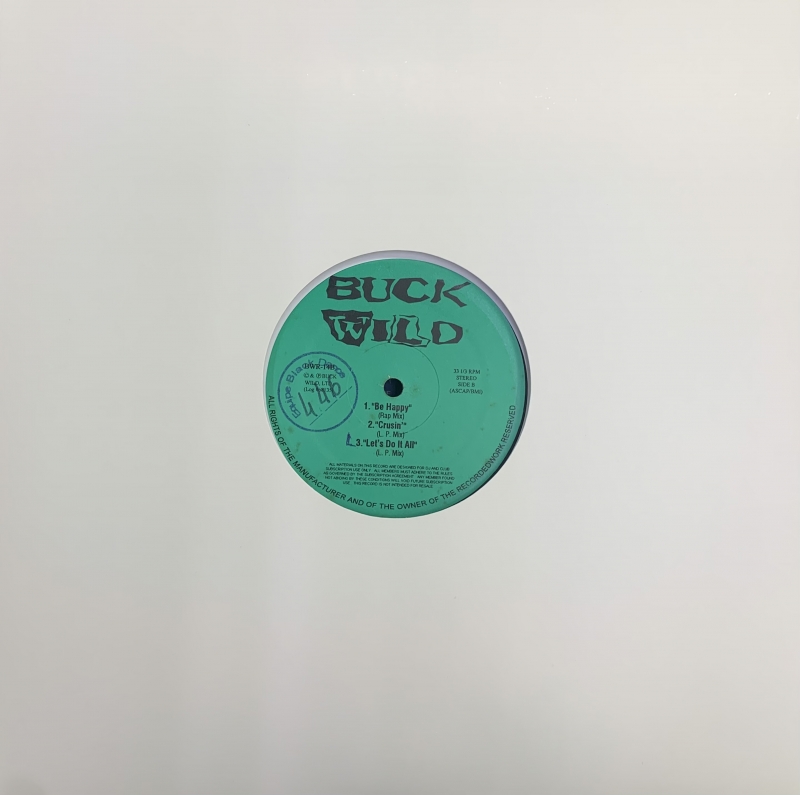 LP Buck Wild - R KELLY  DAngelo NOTORIOUS BIG JODECI VINYL IMPORTADO