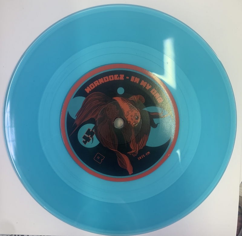 LP MARY JANE HOOPER e HORNDOZ - IVE GOT REASONS VINYL COMPACTO 7 POLEGADAS