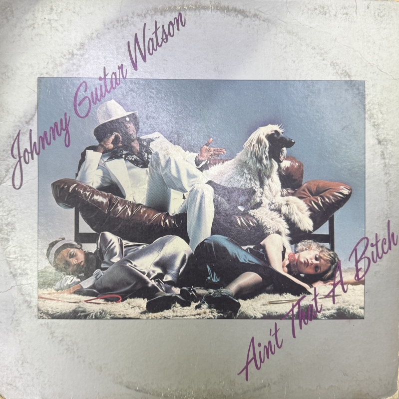 LP Johnny Guitar Watson - Aint That A Bitch VINYL IMPORTADO
