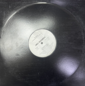 LP Immature - Please Dont Go VINYL SINGLE IMPORTADO