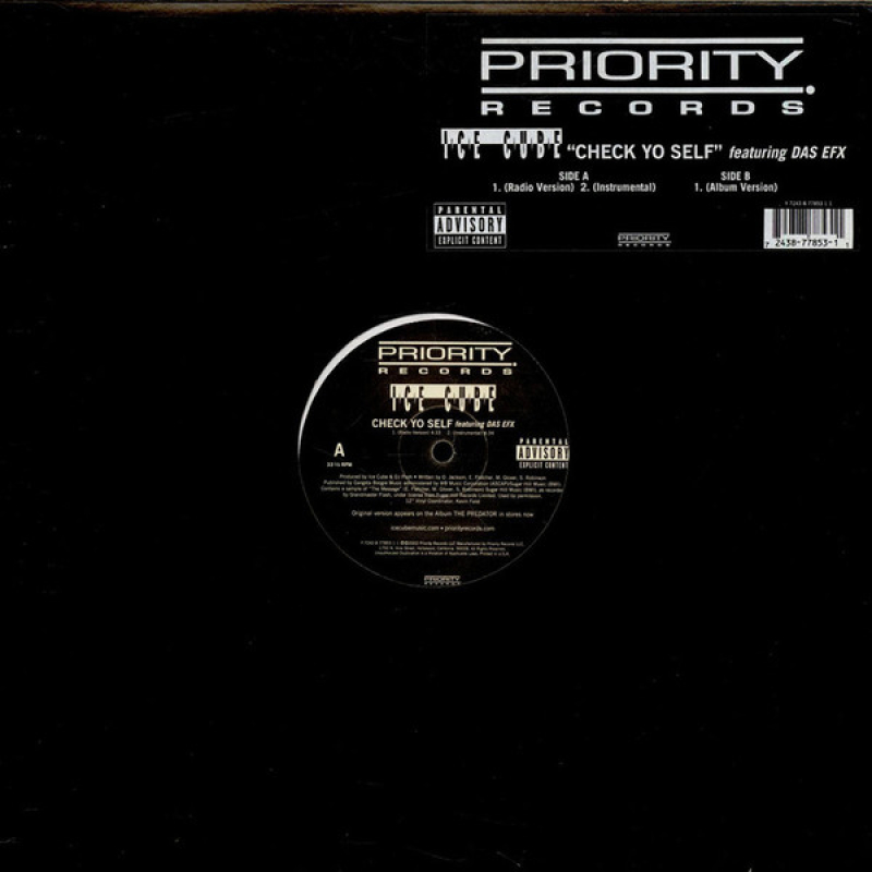 LP Ice Cube feat DAS EFX - Check Yo Self VINYL SINGLE IMPORTADO
