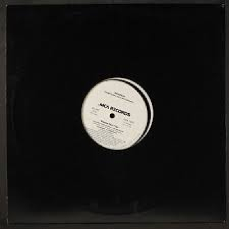 LP Immature - Please Dont Go VINYL SINGLE IMPORTADO