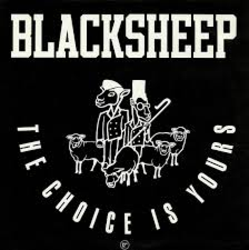 LP BlackSheep - The Choice Is Yours VINYL SINGLE IMPORTADO