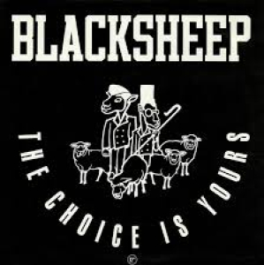 LP BlackSheep - The Choice Is Yours VINYL SINGLE IMPORTADO
