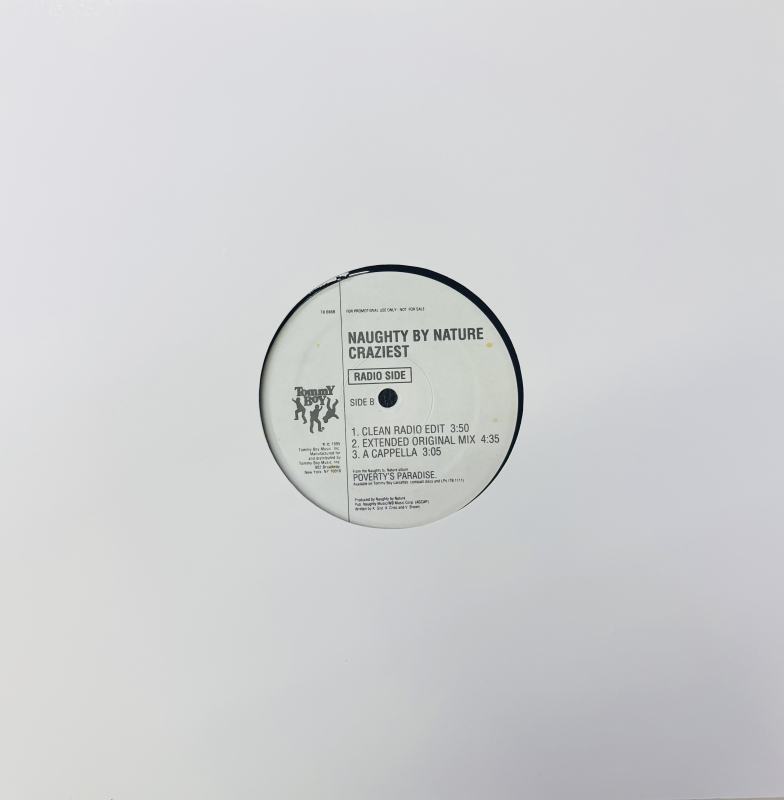 LP Naughty By Nature - Craziest VINYL SINGLE IMPORTADO