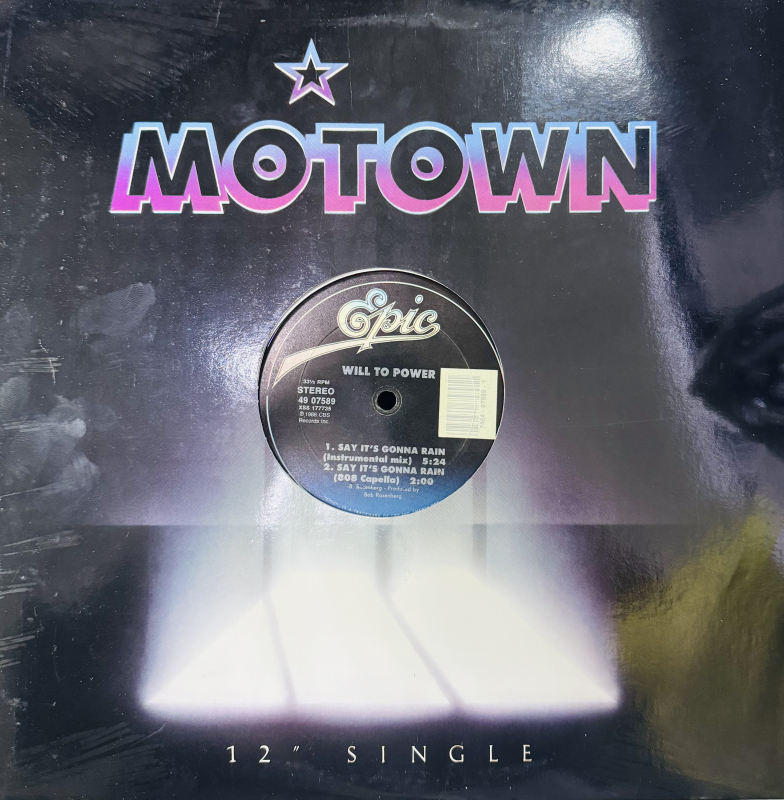 LP Will To Power - Say Its Gonna Rain (New Remixes) VINYL SINGLE IMPORTADO
