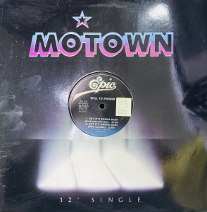 LP Will To Power - Say Its Gonna Rain (New Remixes) VINYL SINGLE IMPORTADO