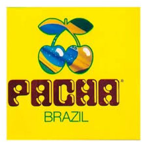 Pacha Brazil - DJ JOE K SIA FEDDE LE GRAND DEADMAUS IAN CAREY (CD DUPLO)