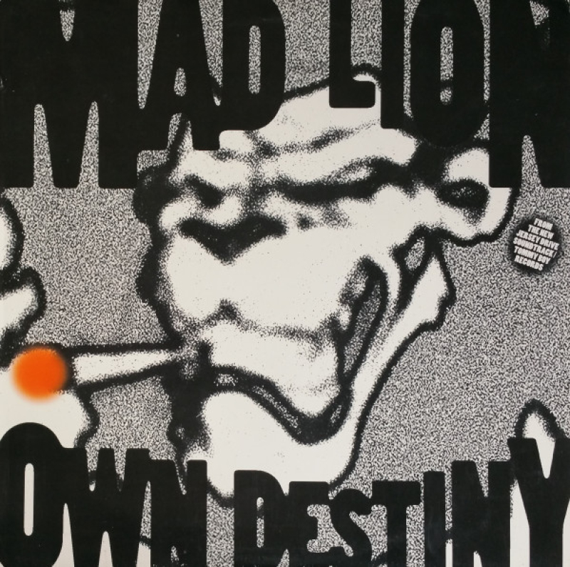 LP Mad Lion - Own Destiny VINYL SINGLE IMPORTADO