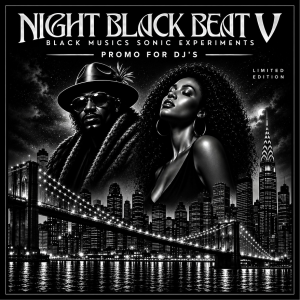 LP NIGHT BLACK BEAT 5 - BOB SINCLAIR RAHSAAN PATTERSON MINT CONDITION VINYL