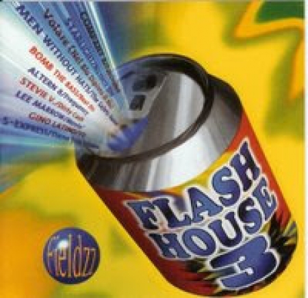 FLASH HOUSE- 3 FIELDZZ