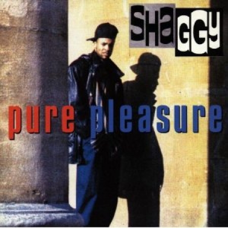 Shaggy - Pure Pleasure