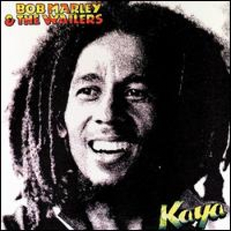 LP Bob Marley & the Wailers VINYL IMPORTADO