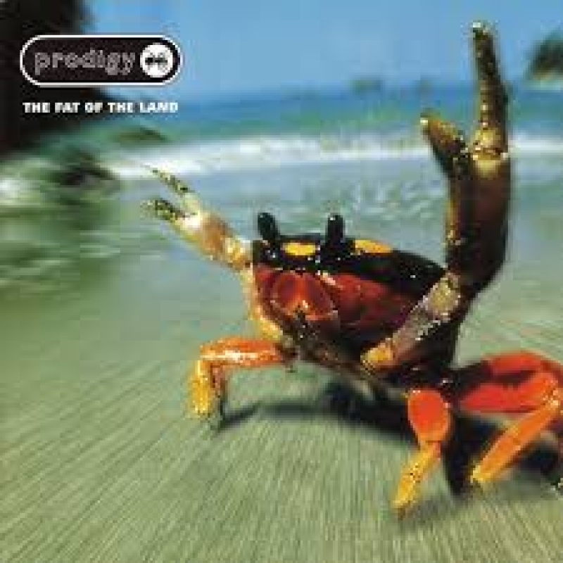 The Prodigy - Fat of the land (CD)